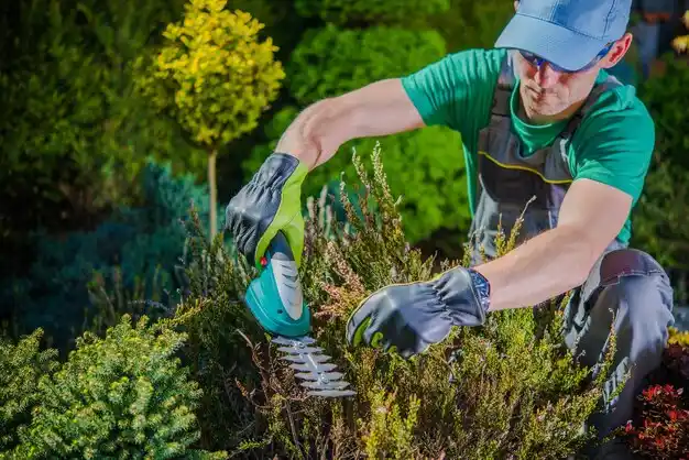 landscaping services Harlan